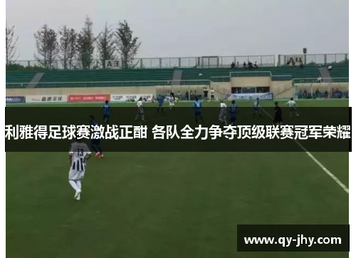 利雅得足球赛激战正酣 各队全力争夺顶级联赛冠军荣耀